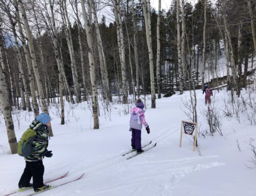 Ski Program Registration