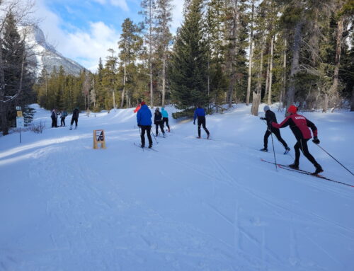 Our Loppet event is this Saturday 4Feb