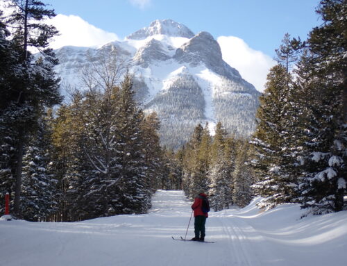 Your membership benefits are renewed at Spry and Alpenland